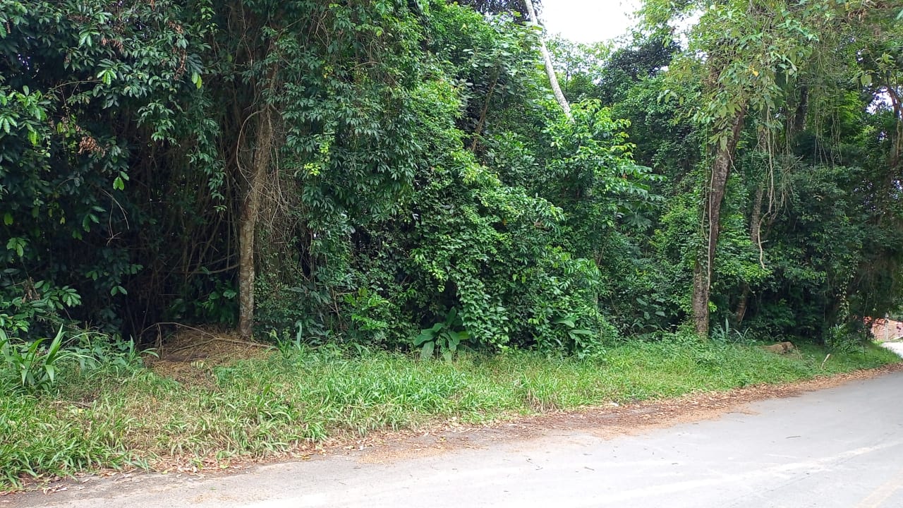 LOTE 326 À VENDA NO JARDIM SANTA PAULA, COTIA - SP