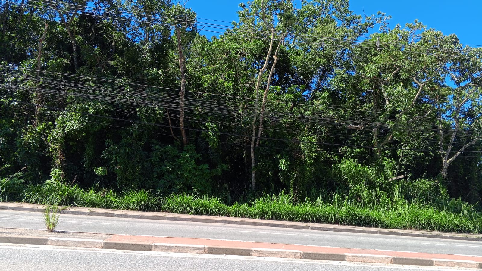 LOTE 473 À VENDA NO JARDIM SANTA PAULA, COTIA - SP